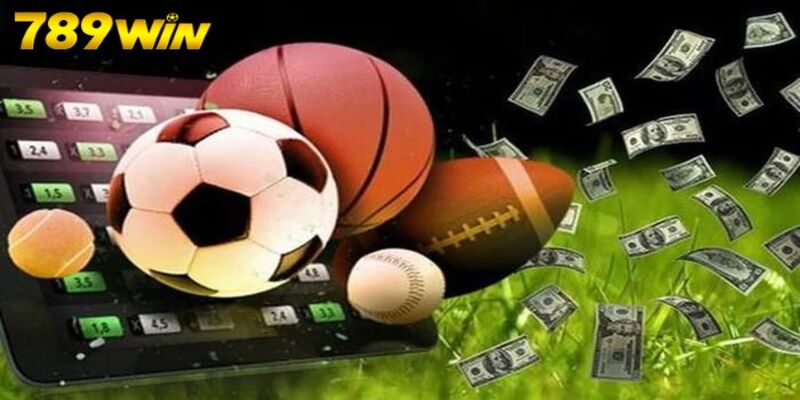 Tổng quan về sảnh cá cược thể thao của 789WIN 